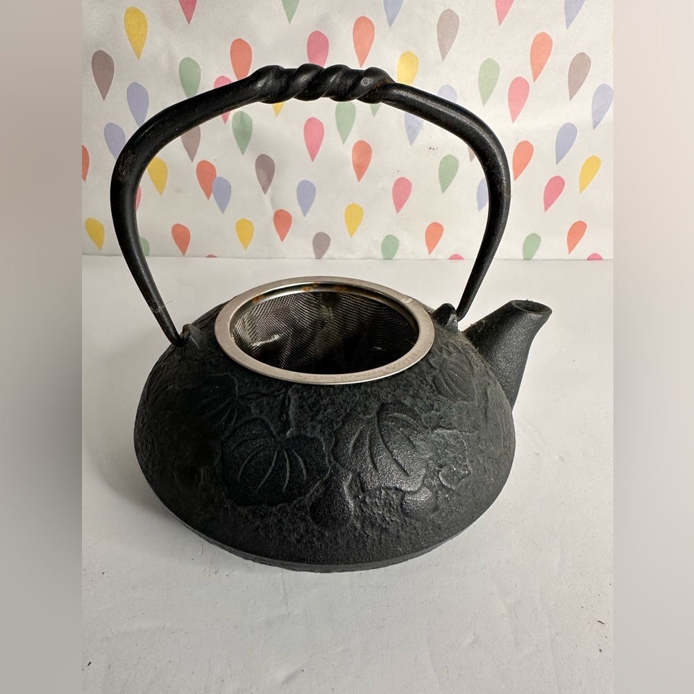 Iron Japanese cast iron teapot Nanbu Tetsubin